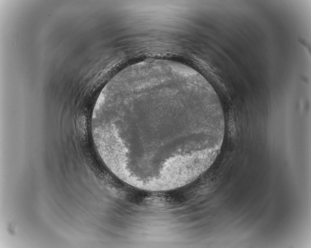 X0000102520211200808291804