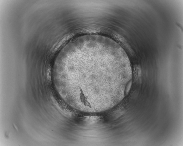 X0000102520212200808291804