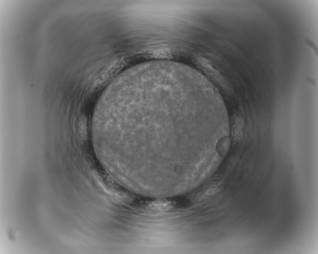 X0000102520213200808291804