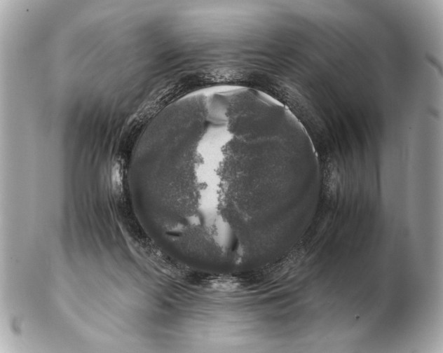 X0000102520214200808291804