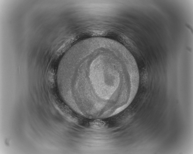 X0000102520215200808291804