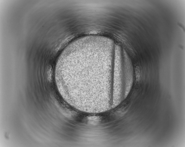 X0000102520216200808291804