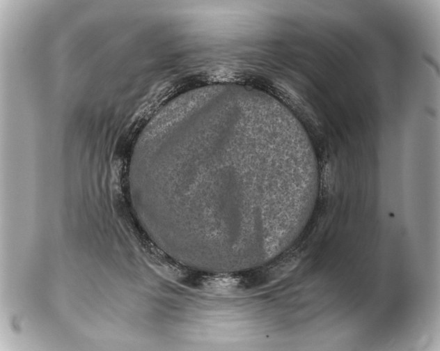 X0000102520217200808291804