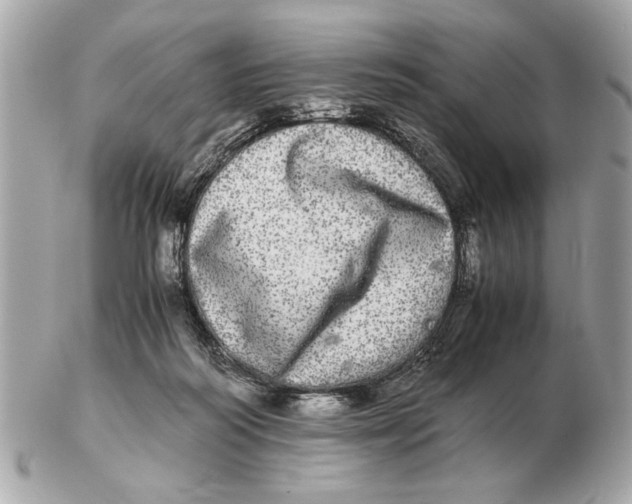 X0000102520218200808291804