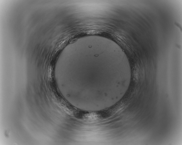 X0000102520219200808291804