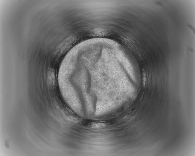 X0000102520220200808291804