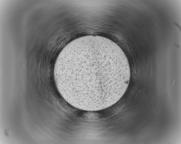 X0000102520221200808291804