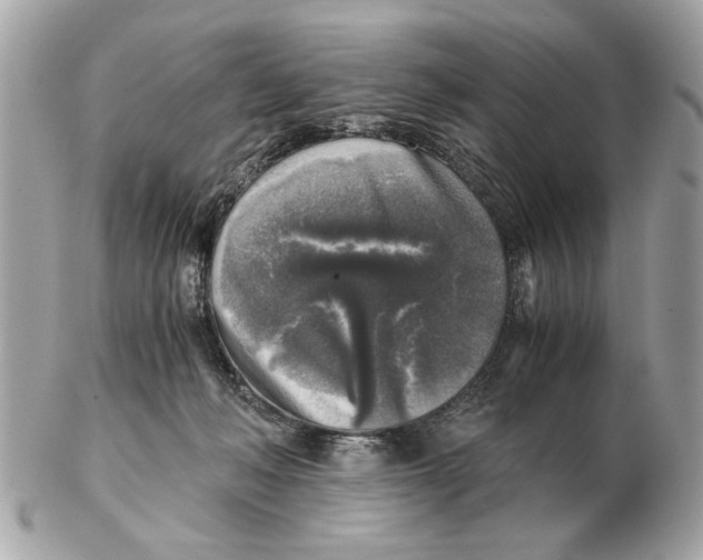 X0000102520222200808291804