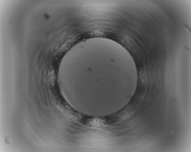 X0000102520223200808291804