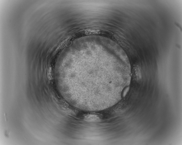 X0000102520224200808291804