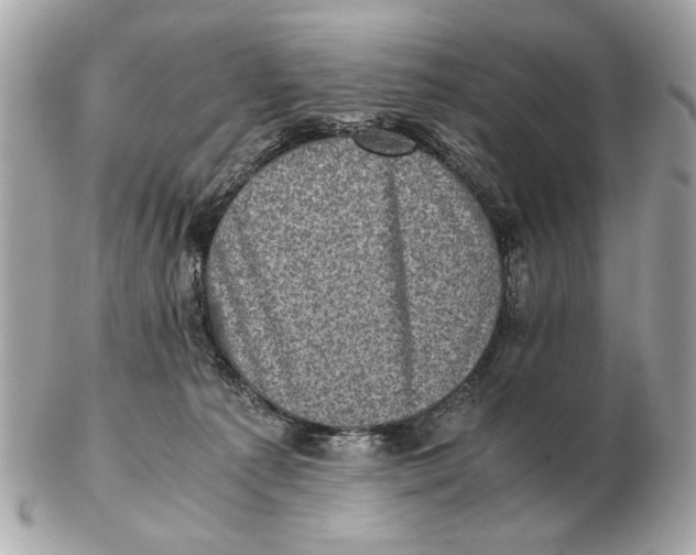 X0000102520225200808291804