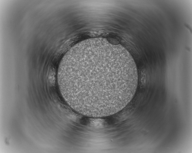 X0000102520226200808291804