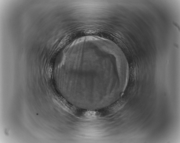 X0000102520227200808291804