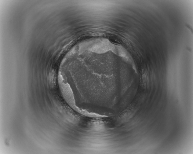 X0000102520228200808291804