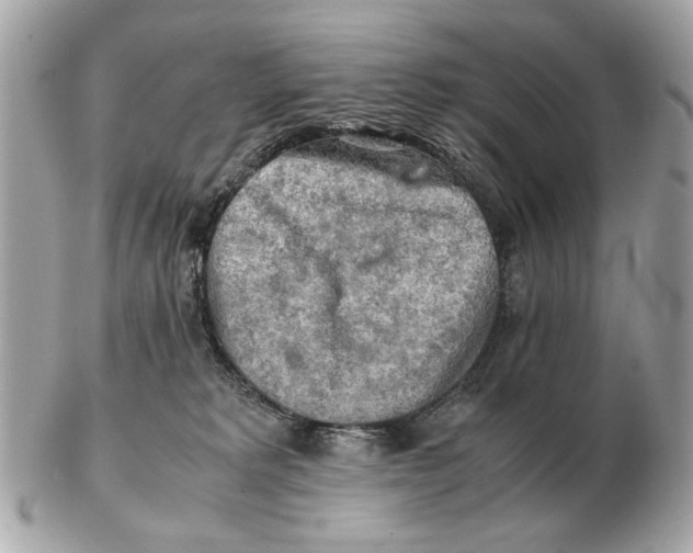 X0000102520229200808291804