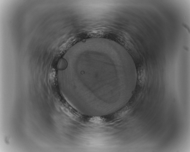 X0000102520231200808291804