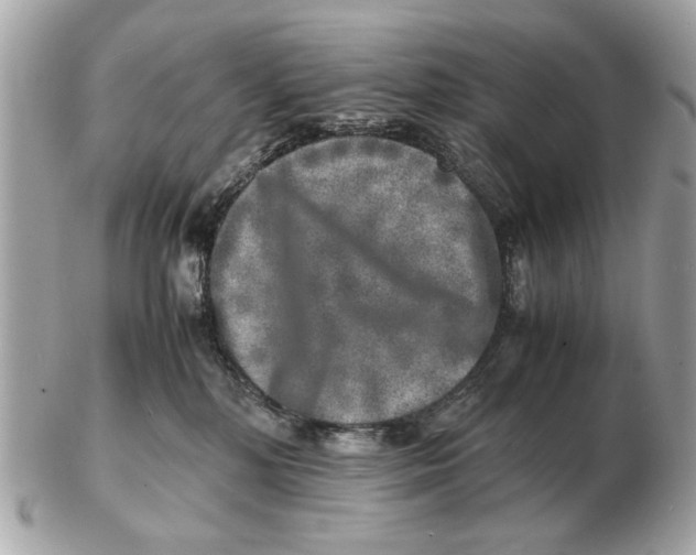 X0000102520232200808291804