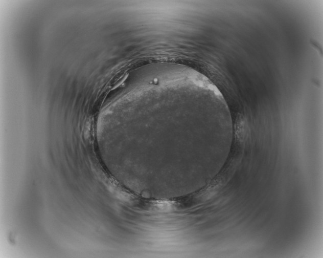 X0000102520233200808291804