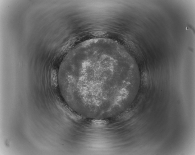 X0000102520234200808291804