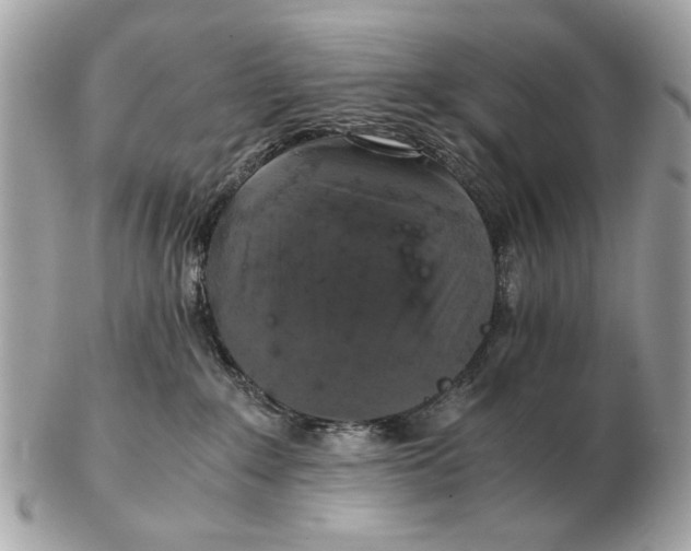 X0000102520235200808291804