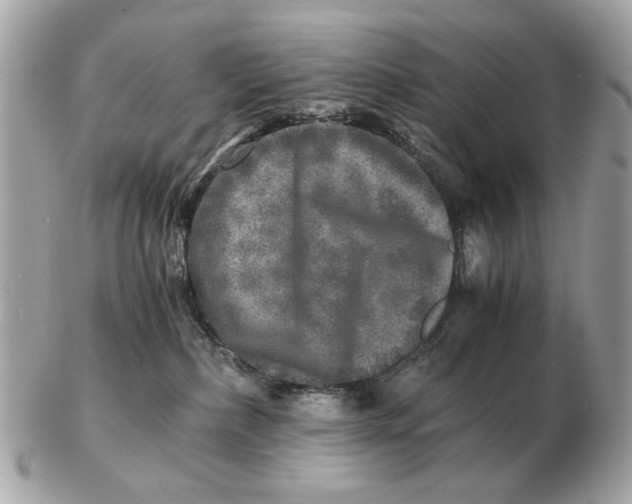 X0000102520236200808291804