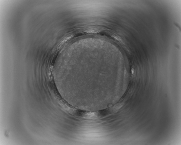 X0000102520237200808291804