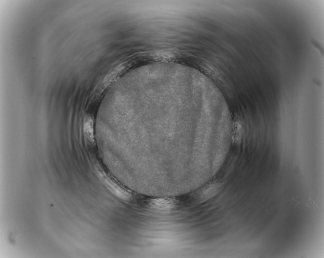 X0000102520238200808291804