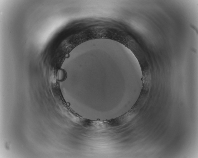 X0000102520239200808291804