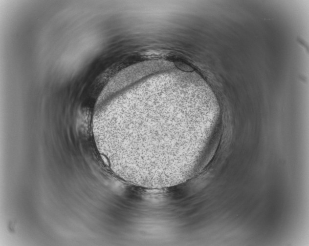 X0000102520240200808291804