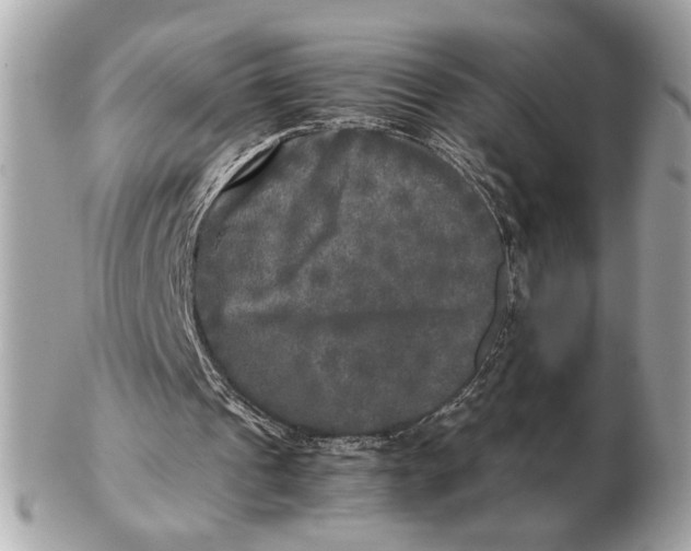 X0000102520241200808291803