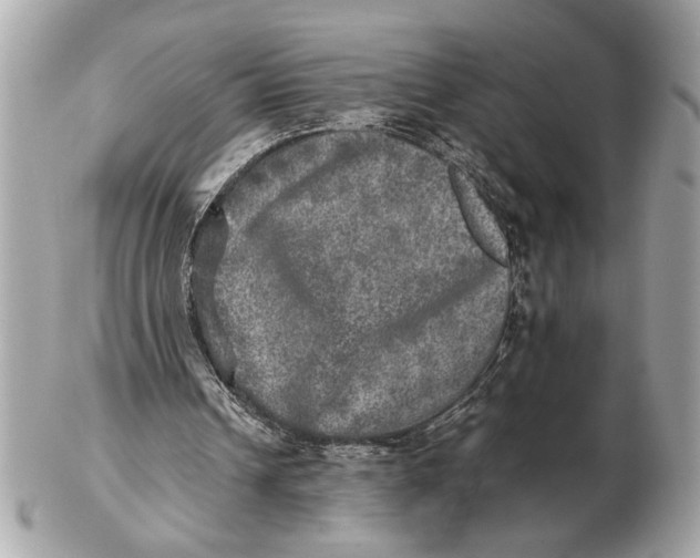 X0000102520242200808291803