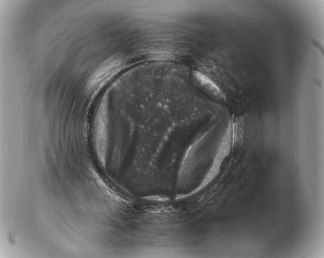 X0000102520243200808291803