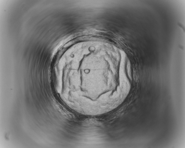 X0000102520244200808291803