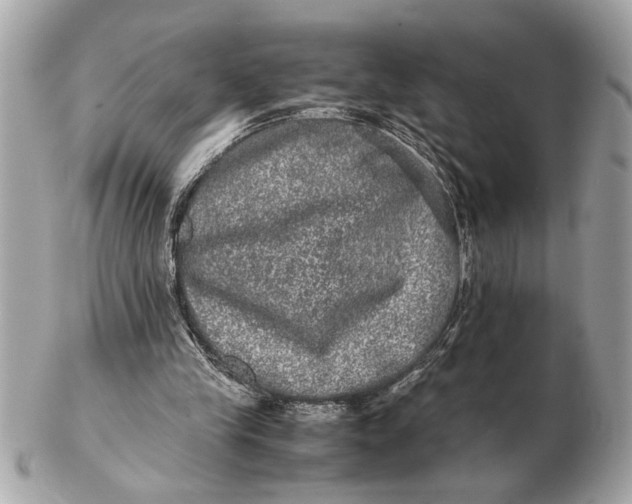 X0000102520245200808291803