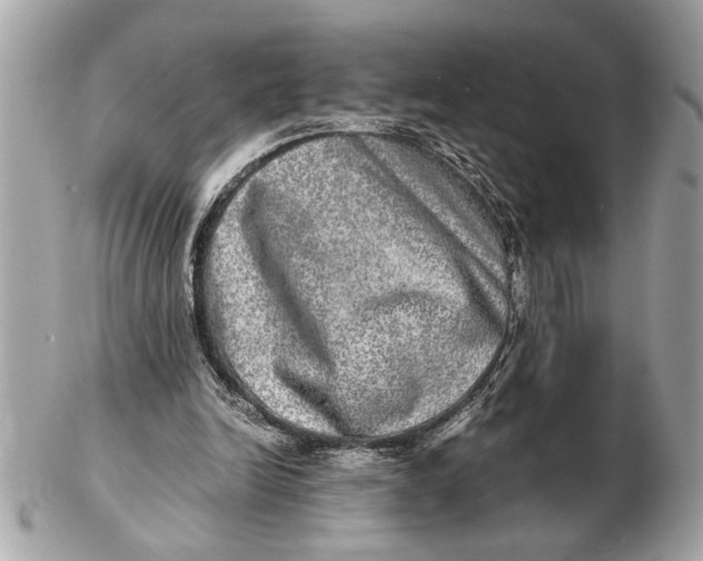 X0000102520246200808291803