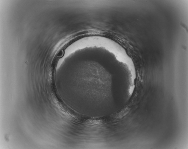 X0000102520247200808291803