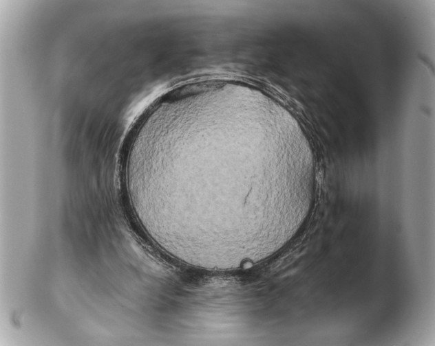 X0000102520248200808291803