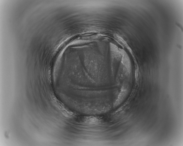 X0000102520249200808291803