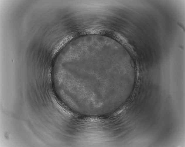 X0000102520250200808291803