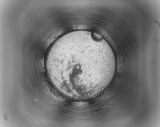 X0000102520251200808291803