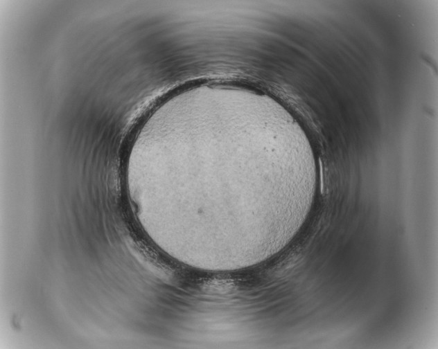 X0000102520252200808291803