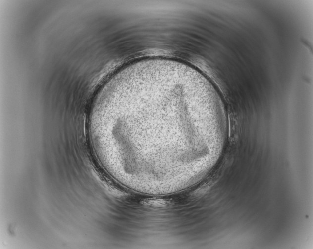 X0000102520253200808291803