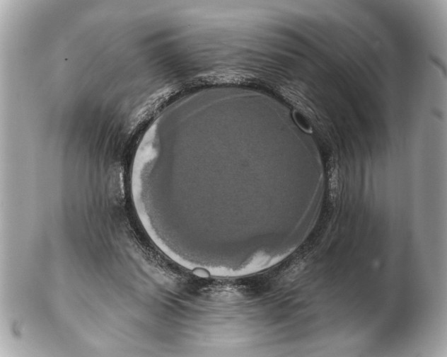 X0000102520254200808291803