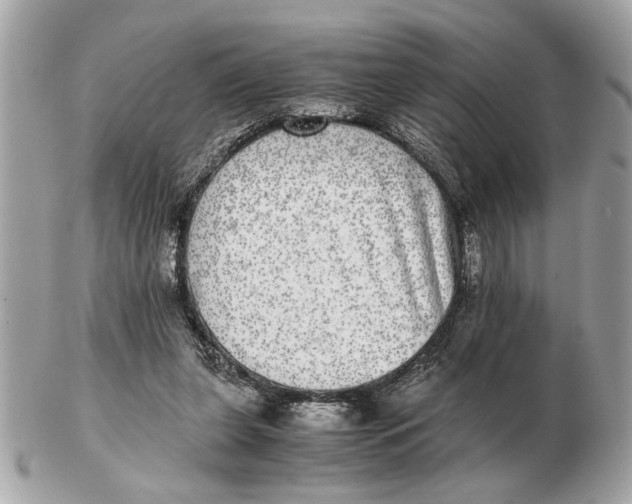 X0000102520255200808291803