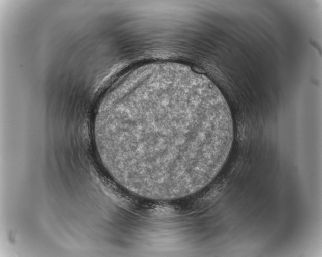 X0000102520256200808291803