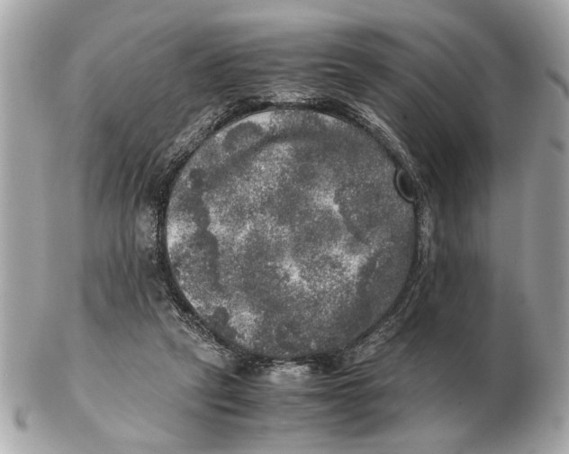 X0000102520257200808291803