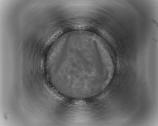 X0000102520258200808291803