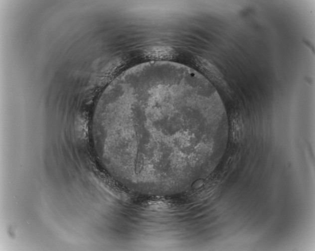 X0000102520259200808291803