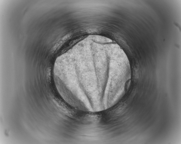 X0000102520260200808291803