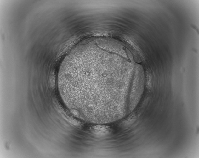 X0000102520261200808291803